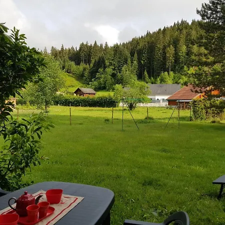 Appartement 'Les Airelles Du Lac' T2 Gerardmer Exterior photo