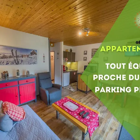 Appartement 'Les Airelles Du Lac' T2 Gerardmer Exterior photo